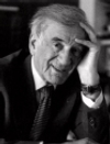 wiesel2