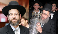 rabbininl1