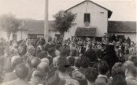 ferramonti