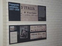 mostra cdec