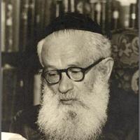 herzog
