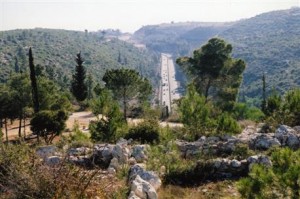 rabin park