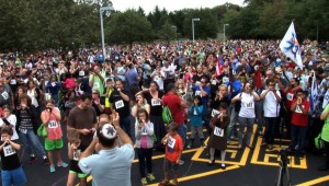 shofarwhippany