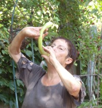 Roby Shofar