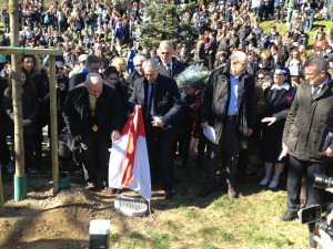foto 3 (1)