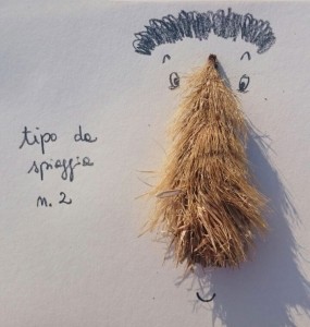 tipo da spiaggia 2 - Robridda