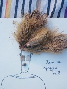 tipo da spiaggia 5 - Robridda