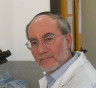 rav gds