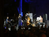 avishai cohen