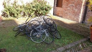 bassani bici