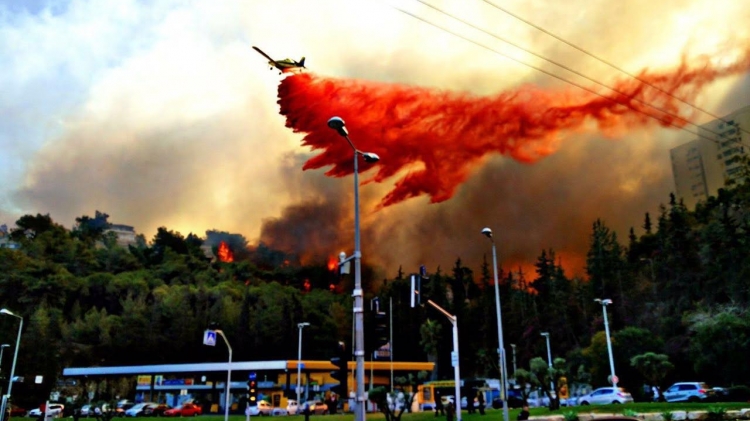 Israele, incendi in tutto il Paese </br> Palestinesi in stato d’arresto