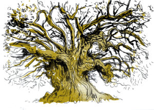 Albero