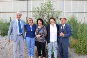 davanti al nuovo ulivo