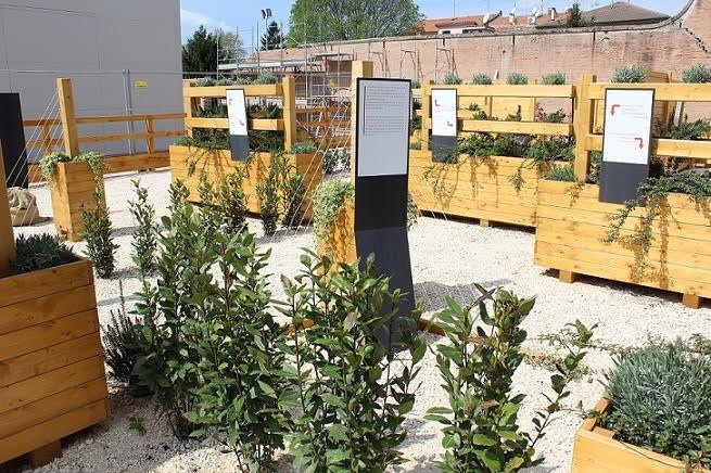 Israele ed ecologia al Meis