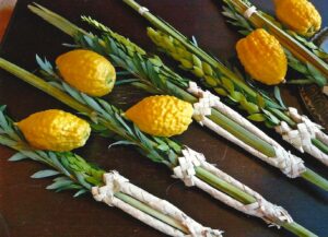 lulav_etrog