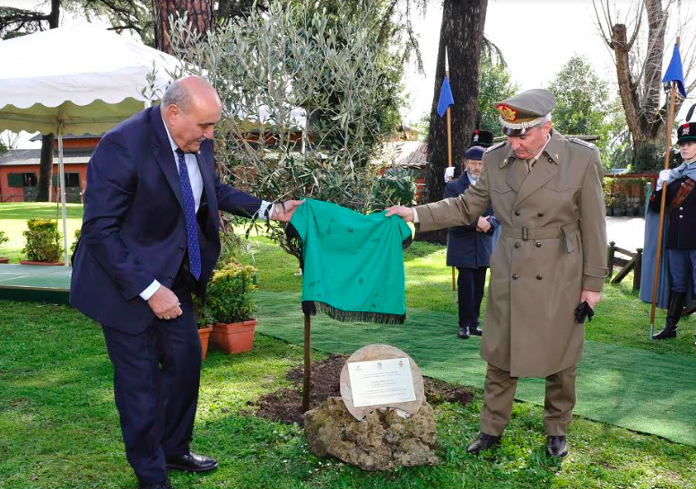 Roma – Un ulivo per la consapevolezza