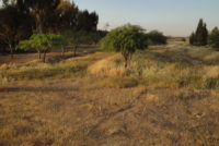 DSC01445