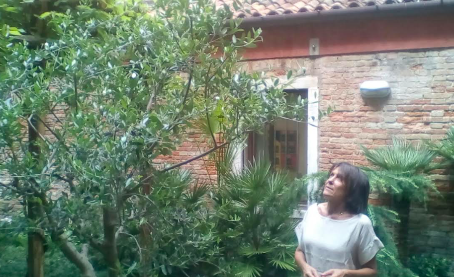 Venezia, un nuovo spazio verde <br> per condividere identità e valori
