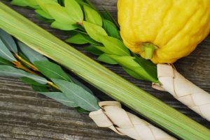 lulav