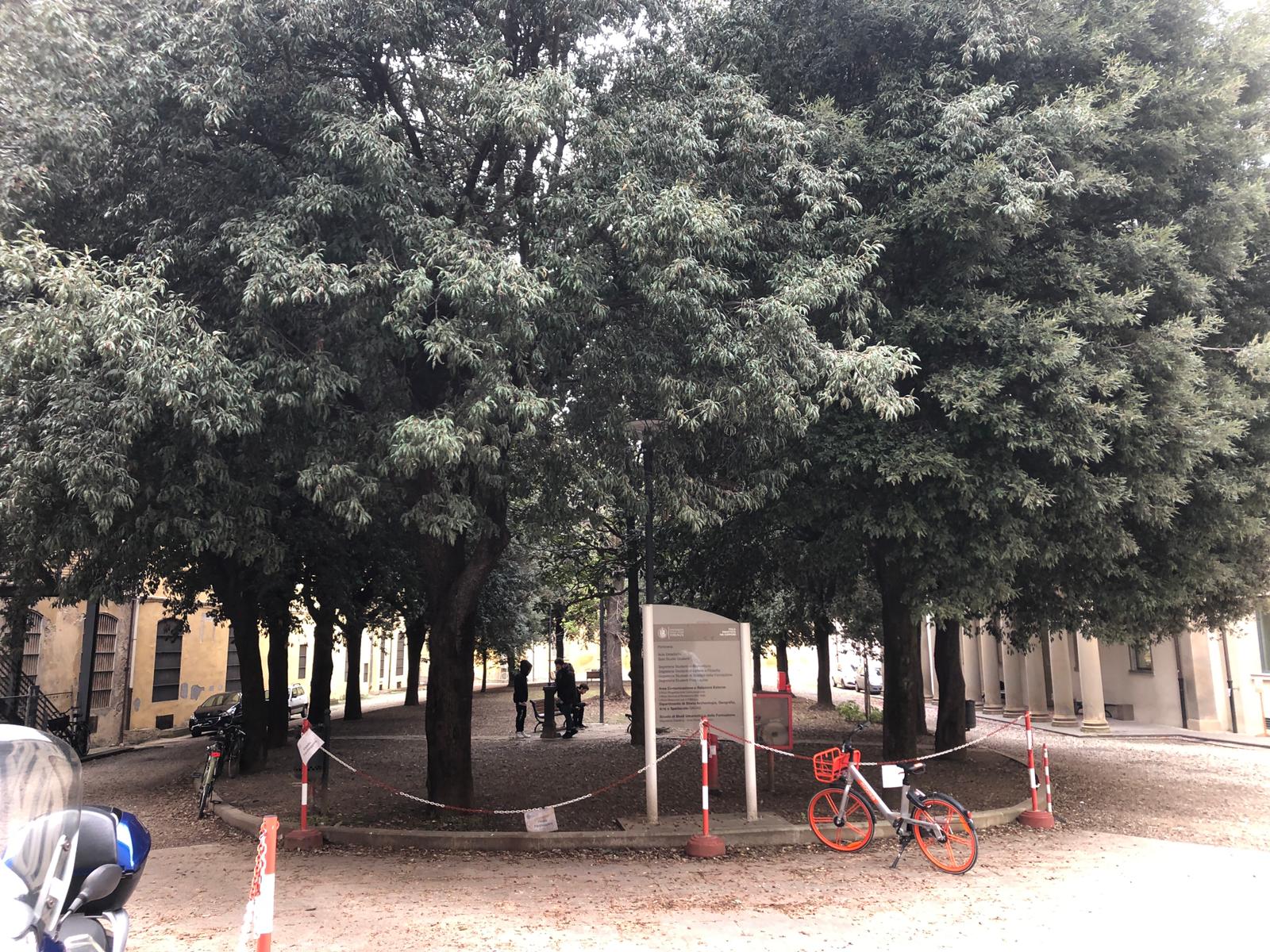 Firenze si inchina a Bonaventura <br> Un giardino nell’Università