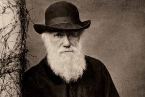 darwin