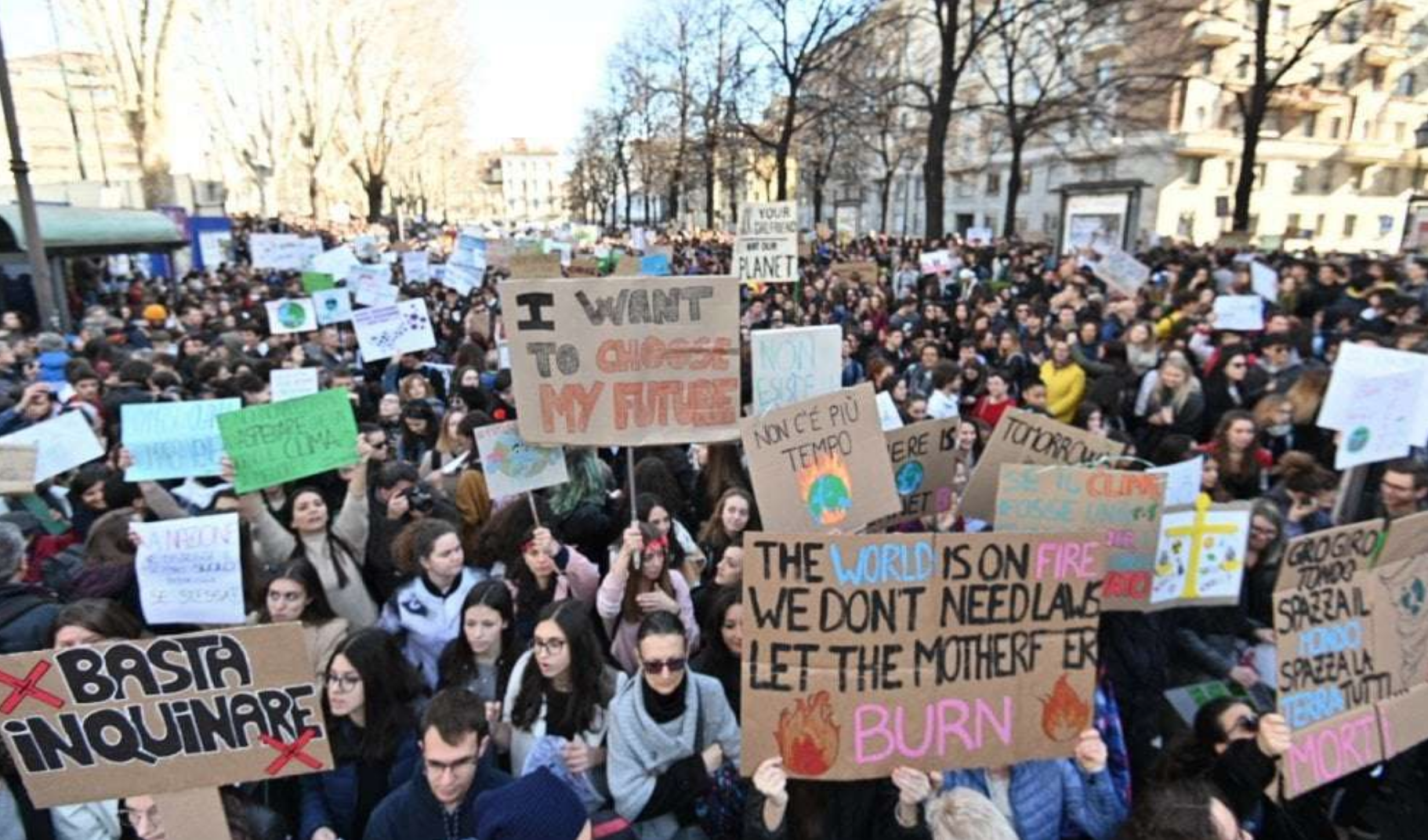 Dalla Genesi all’Israele di oggi</br>L’impegno ecologico dell’ebraismo