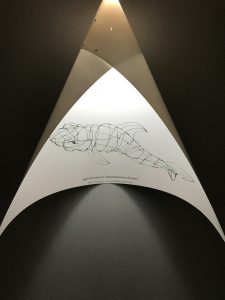 IMG_3282