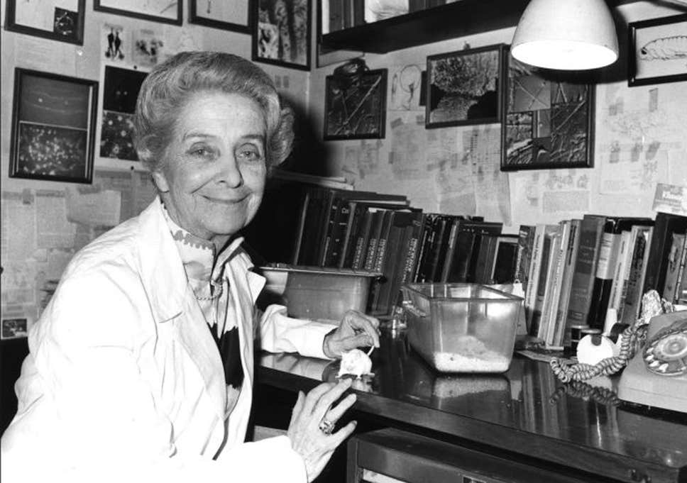 “Rita Levi-Montalcini, <br> pioniera e donna coraggiosa”