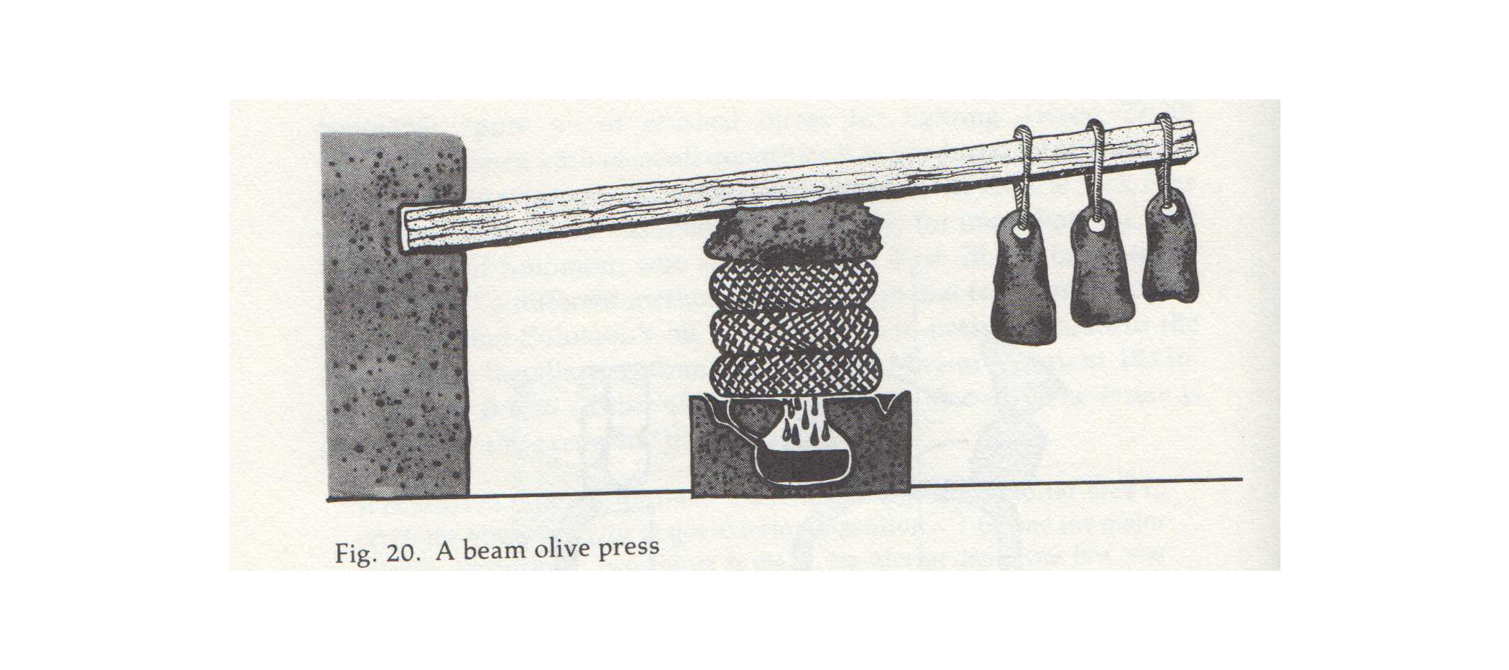 L’olio d’oliva e la festa