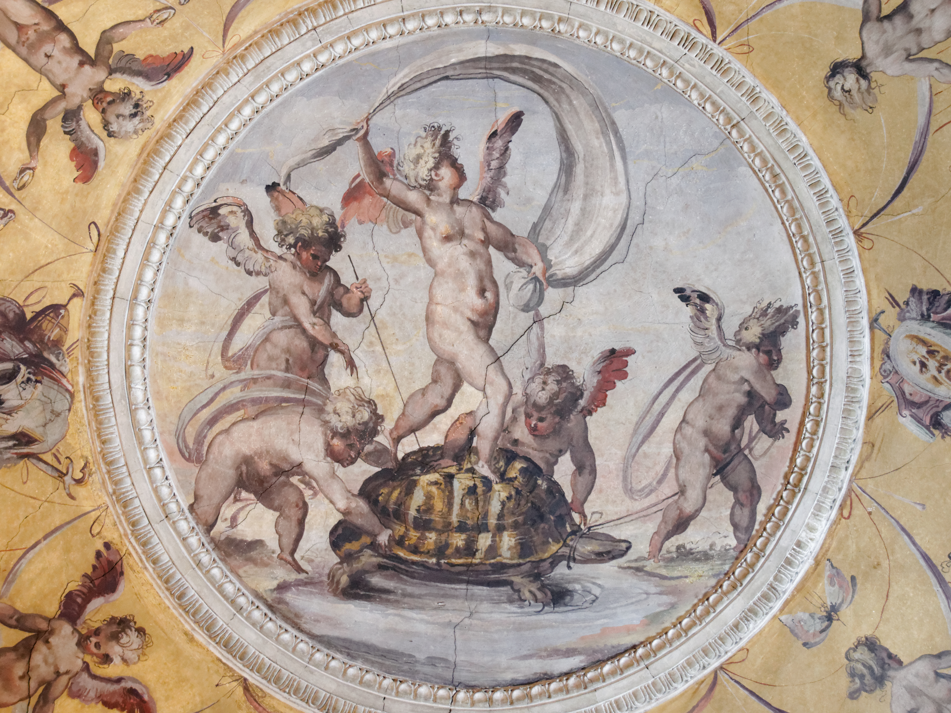 Livelli di guardia – Festina lente