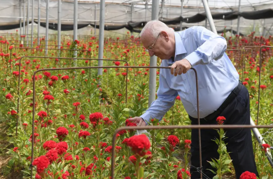 Rivlin: “In occasione di Shavuot </br> ricordiamo il valore della terra”