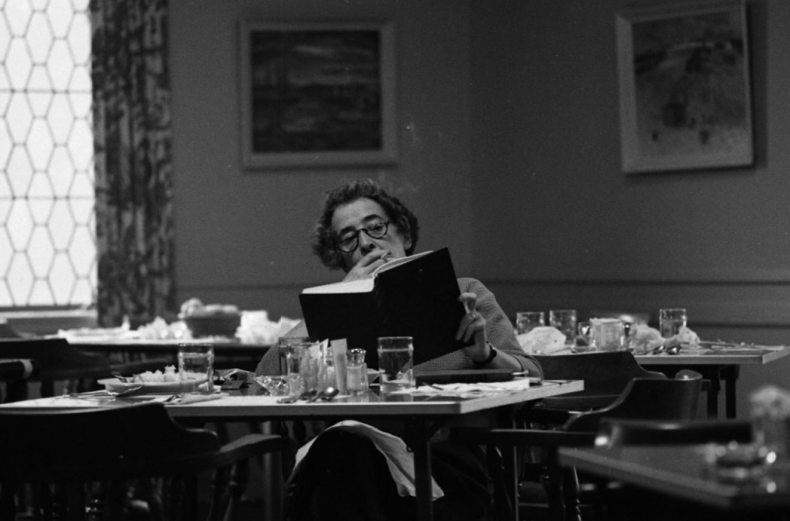 La Arendt e il ritratto <br> di Rahel Varnhagen