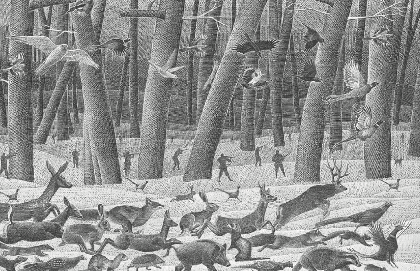A Vienna, nella foresta