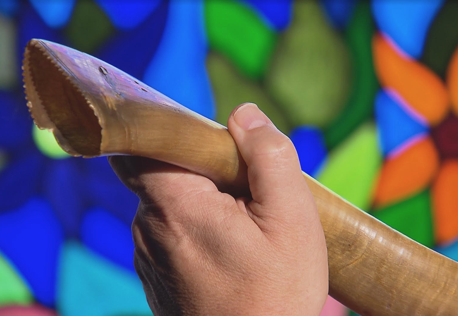 Sorgente di vita <br> Shofar, il suono della libertà