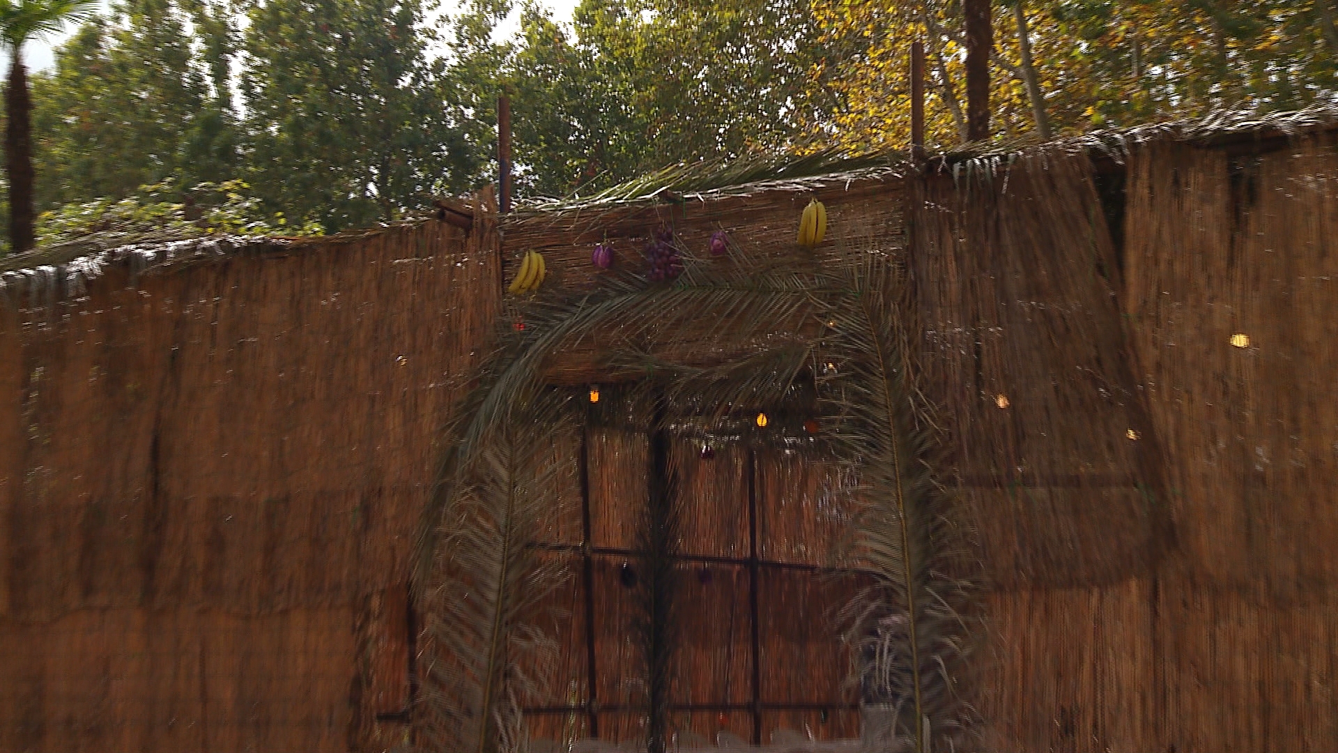 Sorgente di vita </br>Sukkot, il tempo della gioia