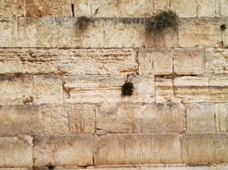 Yom Kippur, un tesoro da proteggere