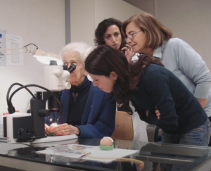 Rita Levi-Montalcini: ein Leben, das der Wissenschaft gewidmet ist