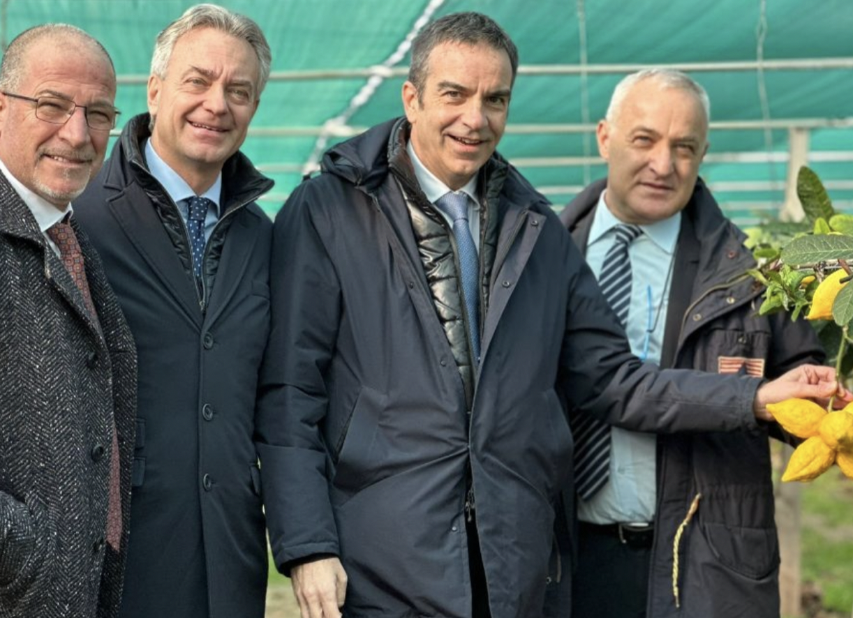Comunità ebraica di Napoli, <br> una Sezione per la Calabria