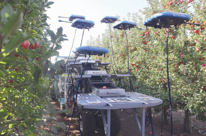 ISRAELE – All’agricoltura servono nuove braccia e più robotica