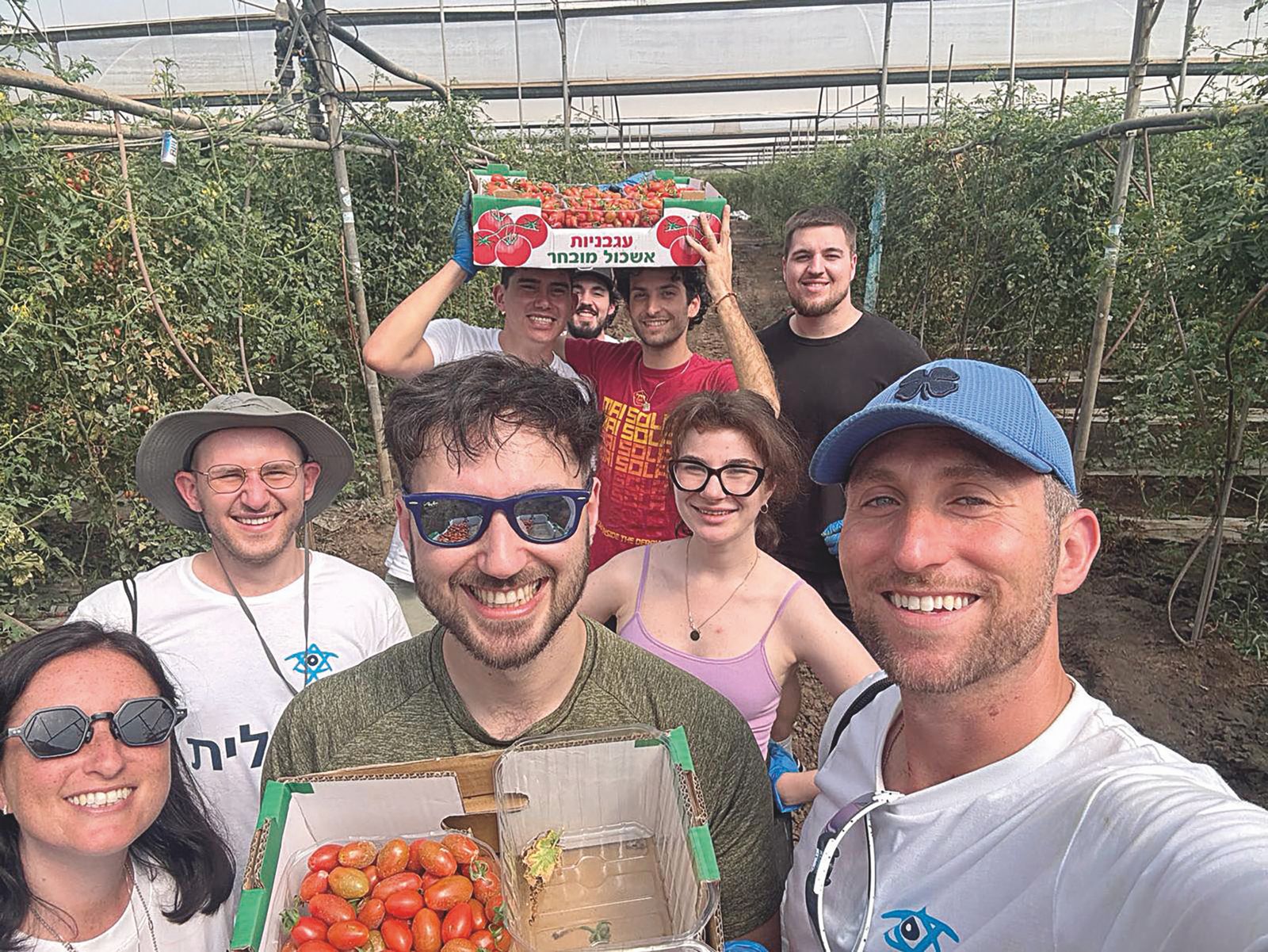 GIOVANI – Taglit, volontari in azione: Dall’agricoltura riparte la speranza