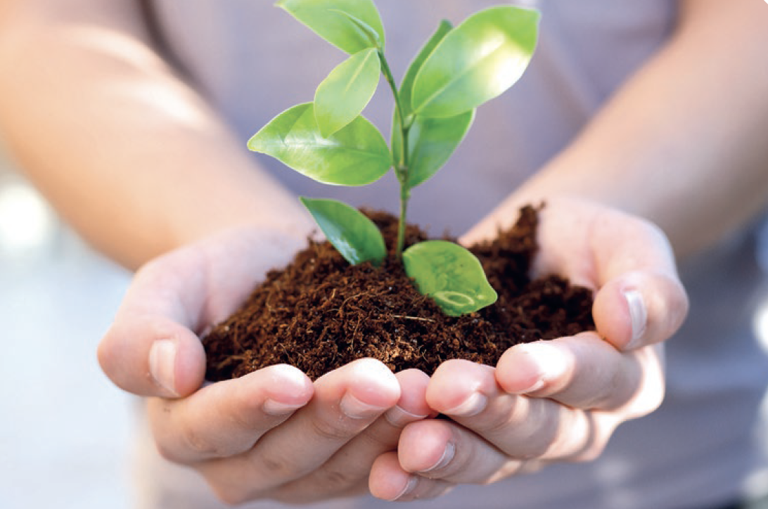 TU BISHVAT – Il capodanno degli alberi