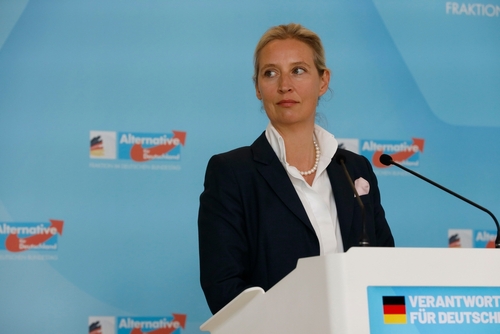 GERMANIA – Schüster si appella al centro mentre un elettore su tre vota le estreme