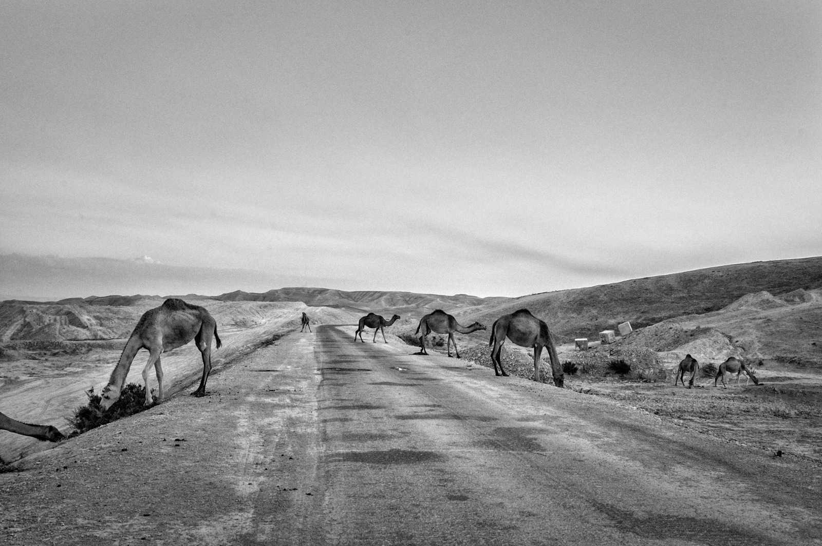 ROMA – Terra e Luce, Israele negli scatti di Karel Cudlin
