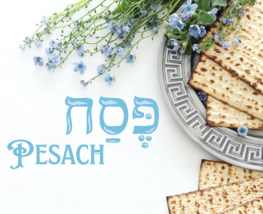 PESACH – Le proposte educative di Zeraim