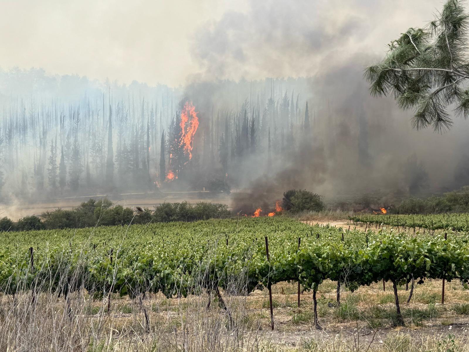 ISRAELE – Yom HaAtzmaut, festa in tono minore per gli incendi