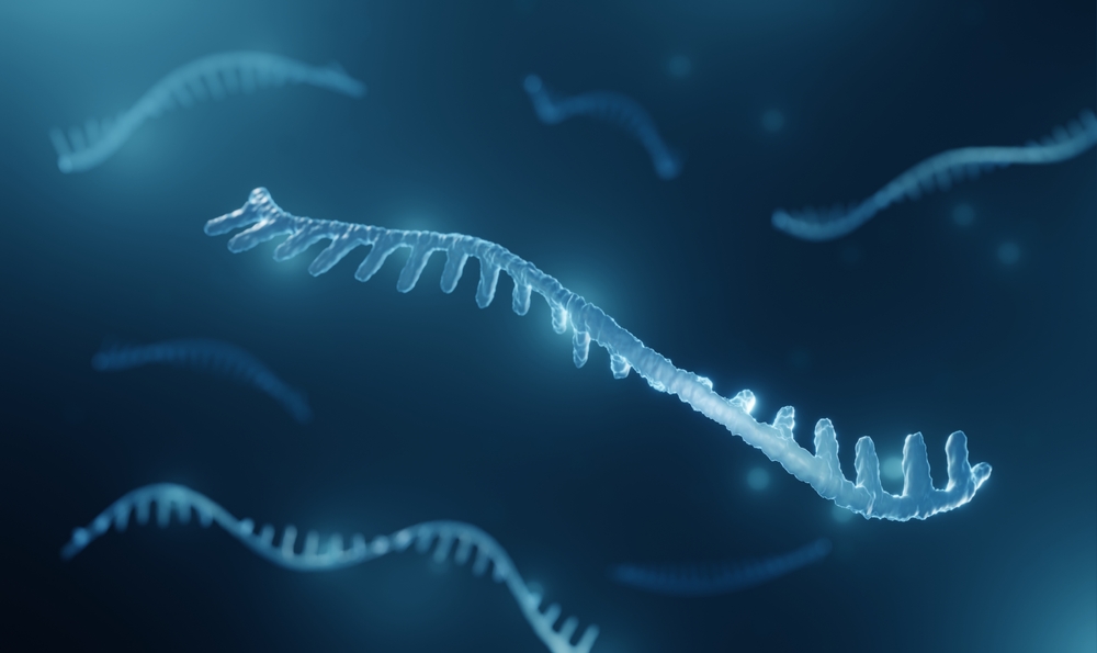 SCIENZA – Da Israele una luce sulla SLA