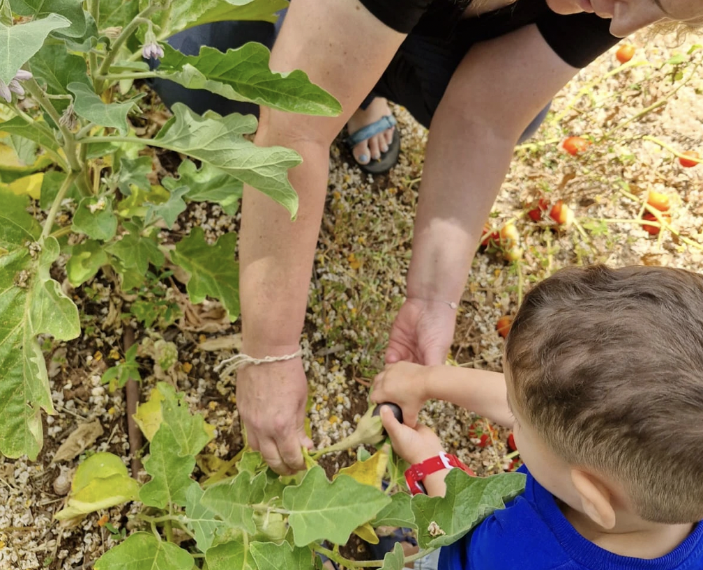 NAPOLI – Un aiuto per i bambini di Ma’alot nel nome di Pier Luigi Campagnano