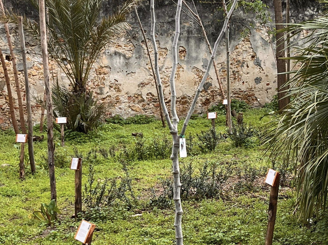 LIVORNO – La Comunità ebraica presenta il suo “giardino segreto”