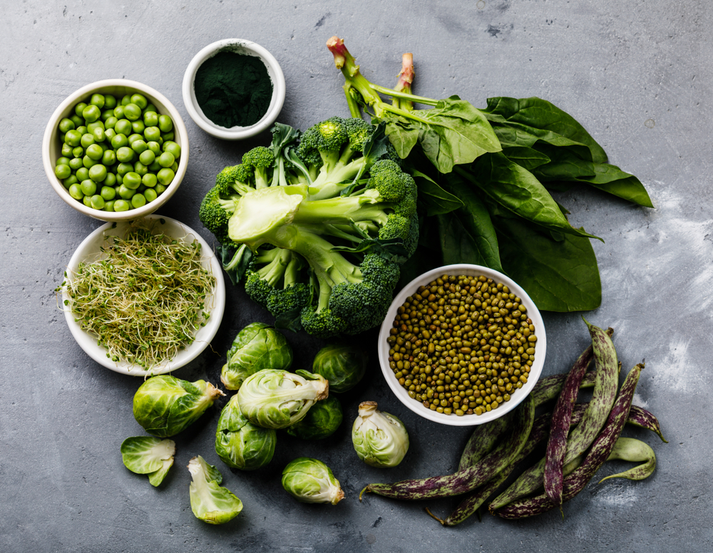 SOCIETÀ – Dagli Usa al Regno Unito, arrivano le sinagoghe vegane
