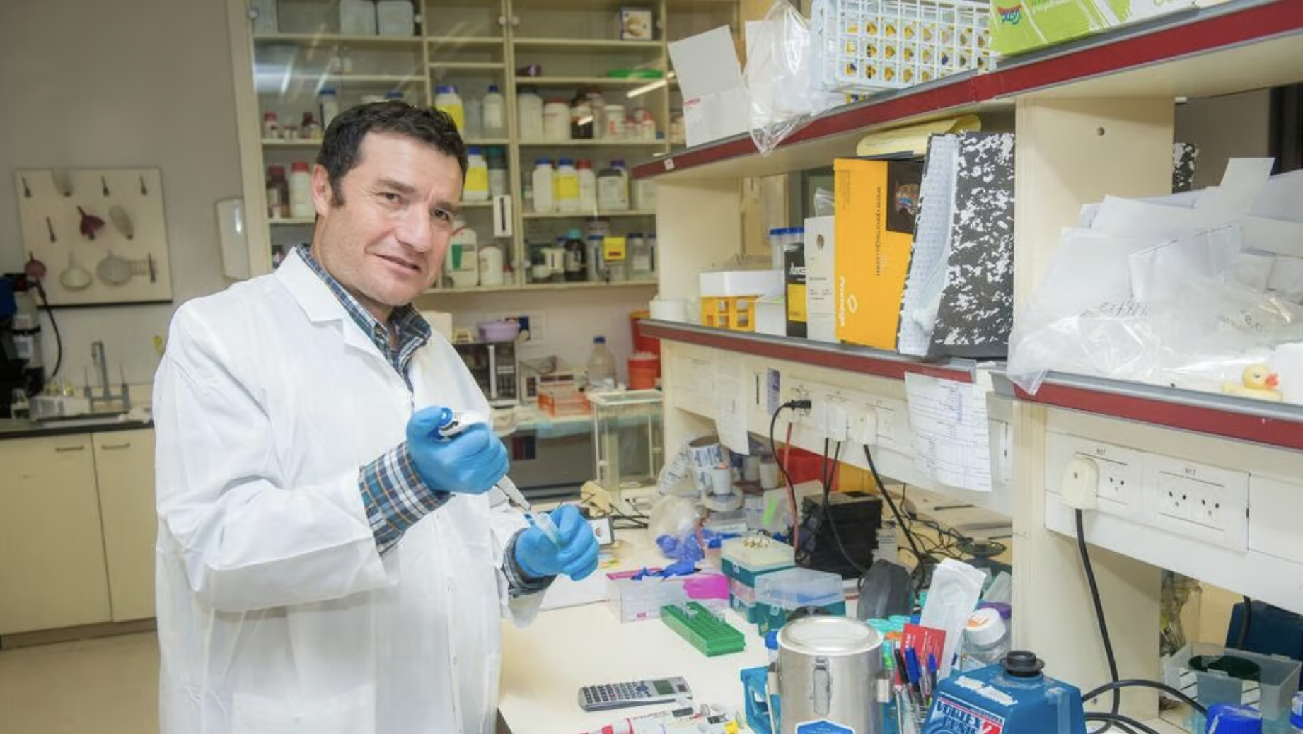 Una proteina per ringiovanire, la ricerca del laboratorio israeliano